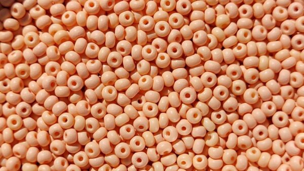 Pärla 11/0 CZ Seed bead, nr 22m05 LjusOrange Matt